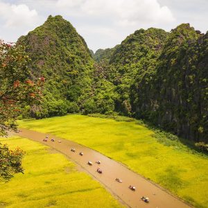 Hoa Lu - Tam Coc  Hang Mua 1 day luxury tour