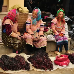 From Hanoi: 3 Days/4 Nights Sapa & Bac Ha Sunday Ethnic People Market  by train