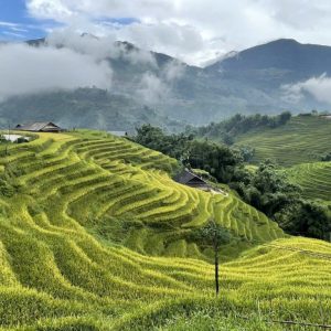 From Hanoi : Sapa 2 days by bus, overnight at homestay in Ta Van Village